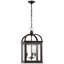 Rhoades 3 - Light Outdoor Hanging Light by Ralph Lauren-117946542