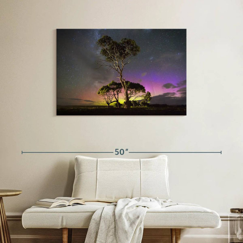 Harnek aurora australis au-dessus des arbres, H 26 po x l 39 po