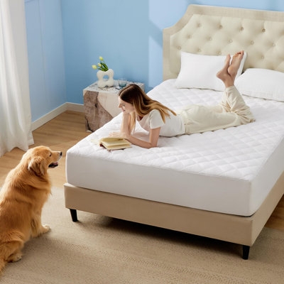 Bedsure Quilted Waterproof Mattress Protector