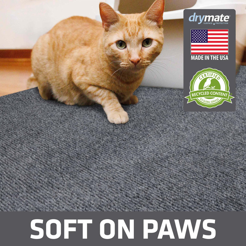 Tapis de piqûre de litière pour chat Dawna Jumbo, H 36 po x l 47 po x P 0,13 po