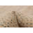 Silk Shadow Beige Rug 8'10" x 12'1"