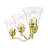 Ellerkamp 3 - Light Dimmable Vanity Light-1621176615