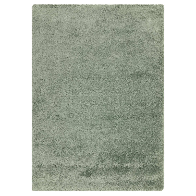 Taiwo Shaggy Sage Area Rug, Rectangle 120 x 170 cm