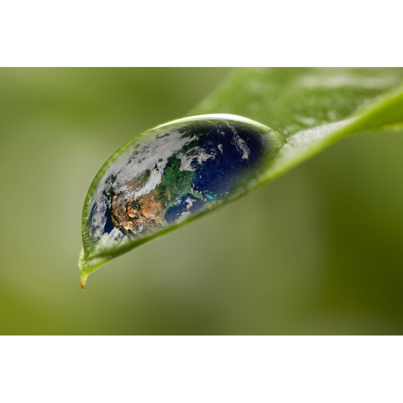 Leaf With Rain Drop - Recovery Earth Concept by Bernie_photo - No Frame Print on Canvas, 81cm H x 122cm W