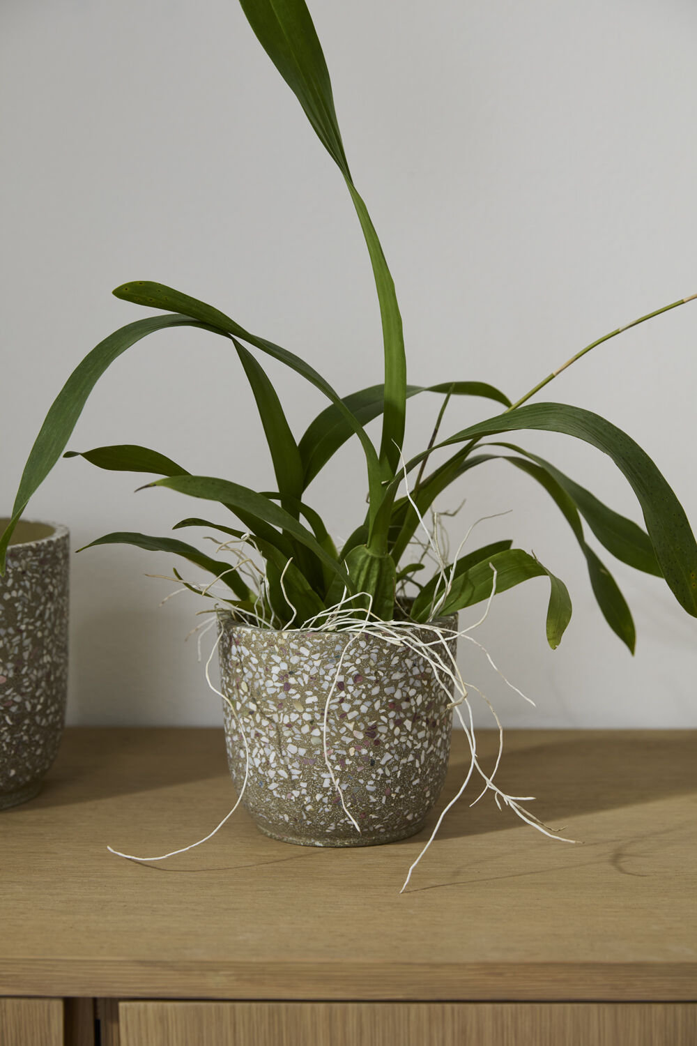 Verde Pot, 5" H x 5.5" W x 5.5" D