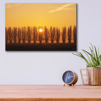  «Tree Row Sunrise» par Martin Podt, art mural en verre acrylique, 16 po x 12 po