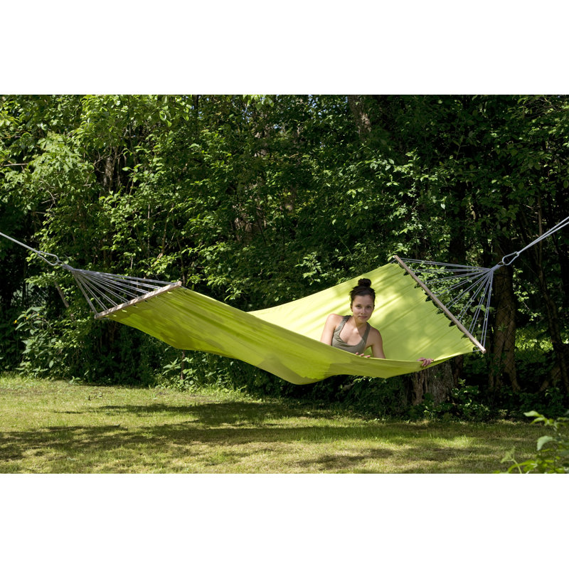  Hammock, Kiwi