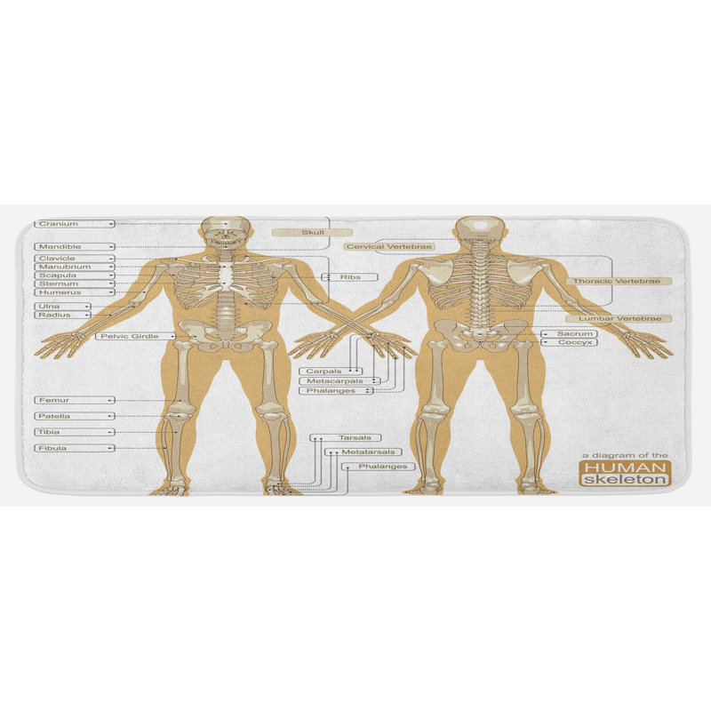 Tapis de cuisine à anatomie humaine