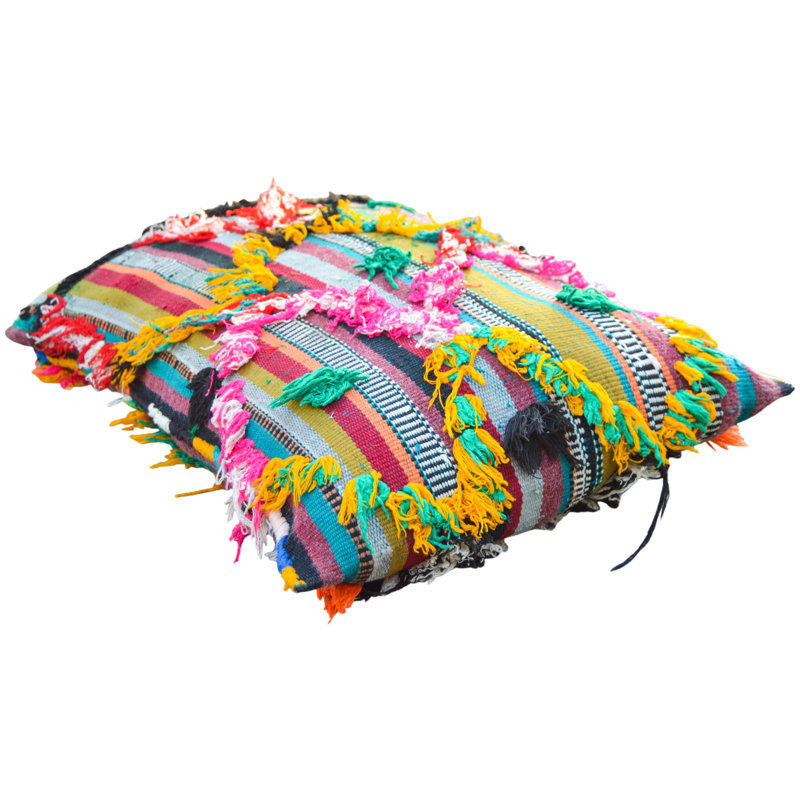 Fringed Reversible Throw Pillow