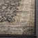 Brytani Performance Oriental Rug