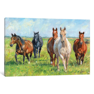 Wild Horses by David Stribbling - Wrapped Canvas Gallery-Wrapped Canvas Giclee