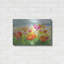 «Meadow Poppies» par Danhui Nai, art mural en métal-1132522011