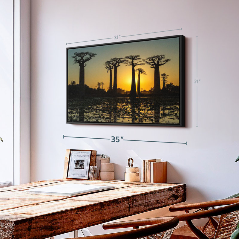 Floral et botanique «Silhouetted Morondava Baobab Trees Print», H 21 po x l 31 po