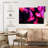 Bright Pink Jellyfish-107886782