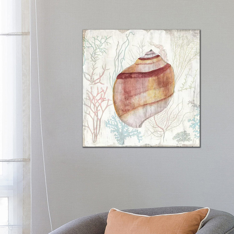 Coral And Shell II by Tava Studios - Gallery-Wrapped Canvas Giclée on Canvas, Wrapped Canvas