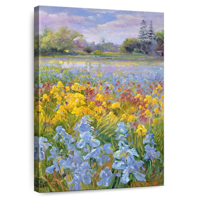 Alvord Irises Willow And Fir Tree