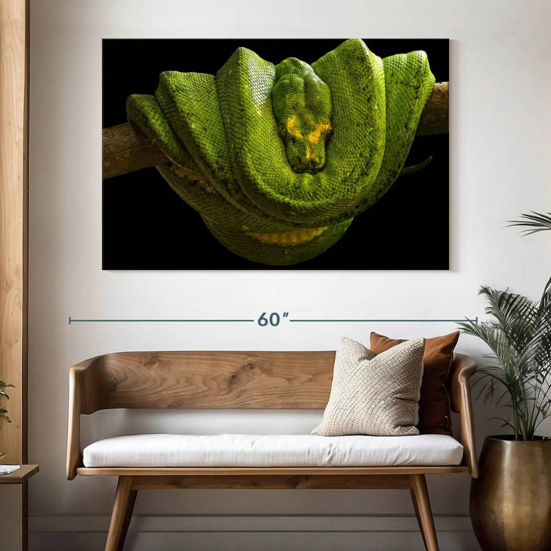 Green Boa Constrictor, 34" H x 51" W