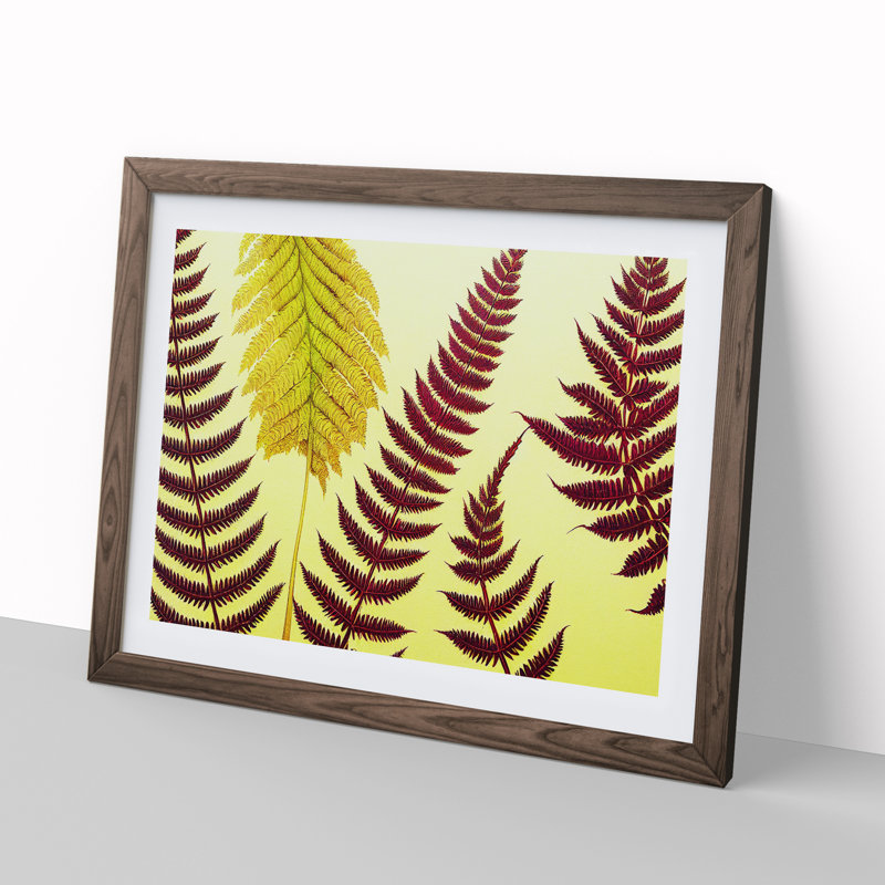 Fern Leaves - Single Picture Frame Print, 34cm H x 46cm W x 2cm D, Walnut