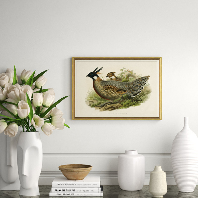 Pheasants From Gould's Birds Of Australia 1 Giclee Print by John Gould