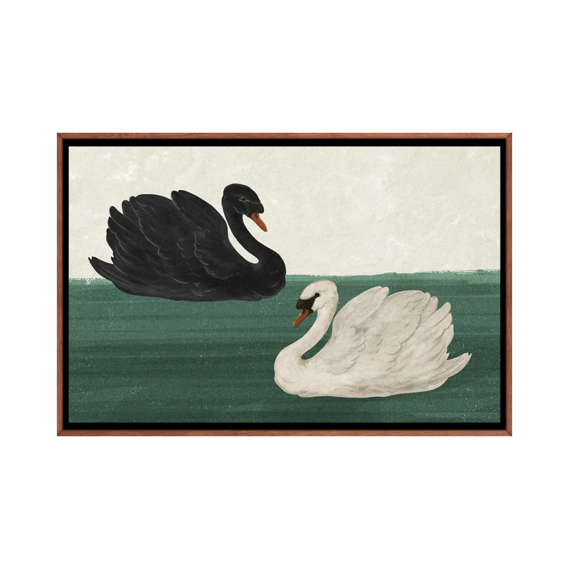 Black Swan White Swan, Classic Wood Floater Framed, 26'' H x 40'' W