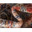Ulla Oriental Indoor Rug-40278588