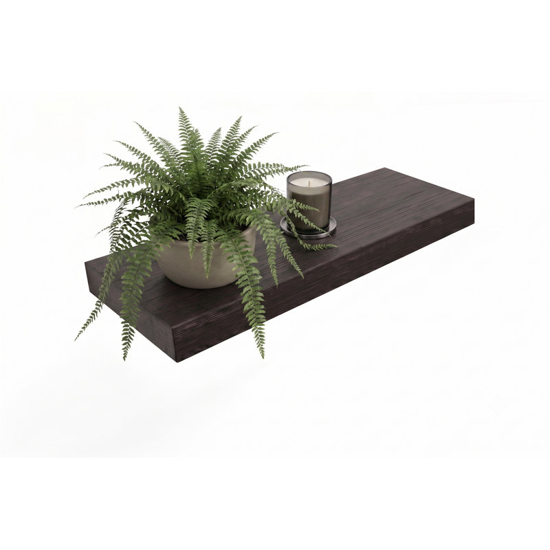 Devyn 1 Piece Solid Wood Floating Shelf, 2" H x 24" W x 10" D, Mocha