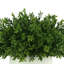 15'' Faux Boxwood Plant in Ceramic Pot
