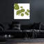 «Pilea» par Trish Sierer-1772939359