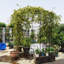 Pavillon de jardin en métal-1761490317