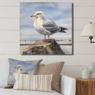 " Watchful Seagull V "