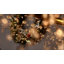 Luminaire suspendu en cristal Galewood Modern Glam Firework-1056795387-1053893117-1053893118