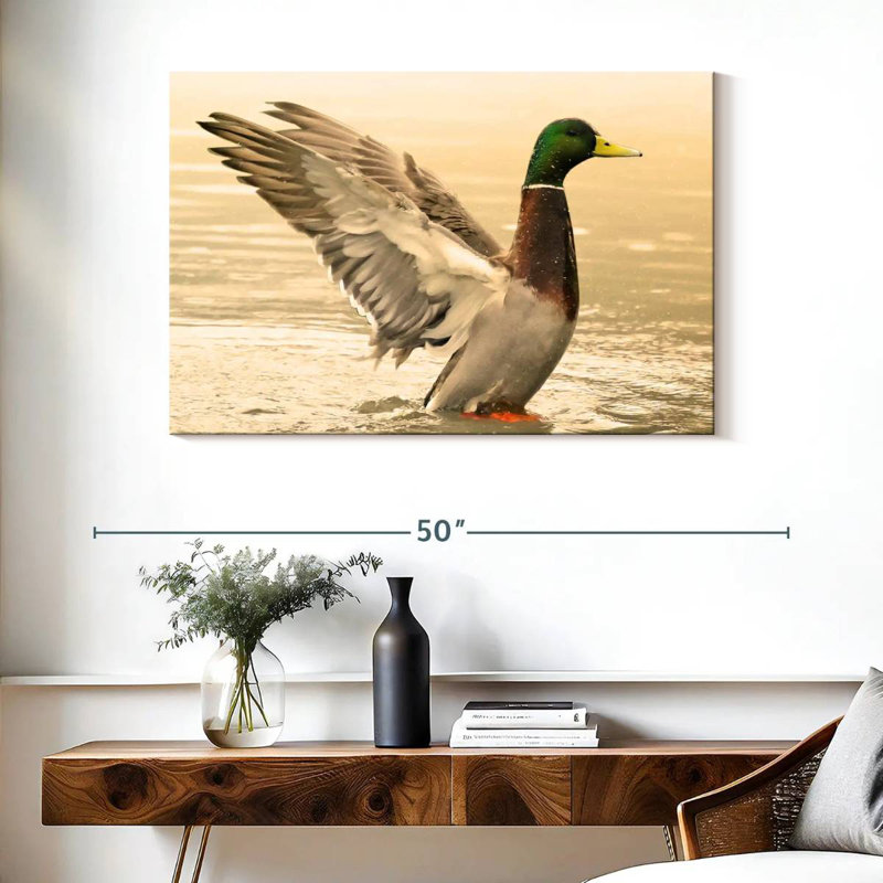 Canard colvert majestueux Brampt, H 26 po x l 39 po
