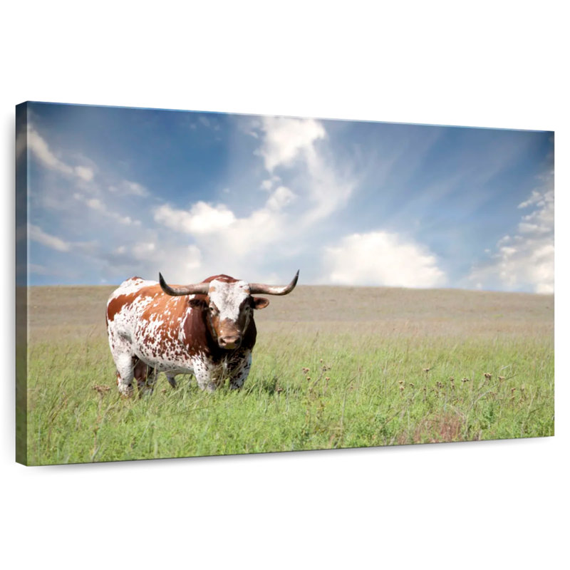 Brampt Oklahoman Texas Longhorn, 26" H x 39" W