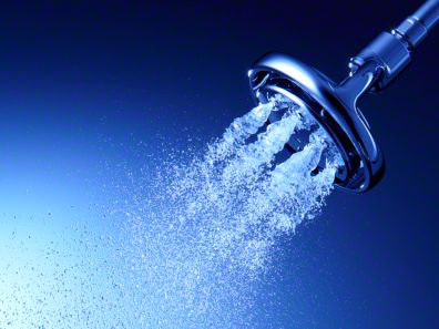 Flipside 2.5 GPM Multifunction Wall-Mount Showerhead