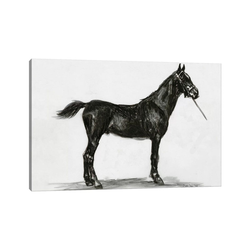 Horse Study III by Stellar Design Studio - Gallery-Wrapped Canvas Giclée on Canvas, Canvas, 30.48 cm H x 45.72 cm W