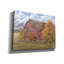 «Autumn Barn» par Pam Britton, estampe numérique sur toile-450876642