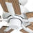 Erikson 52-In Ceiling Fan-103256048-103256050
