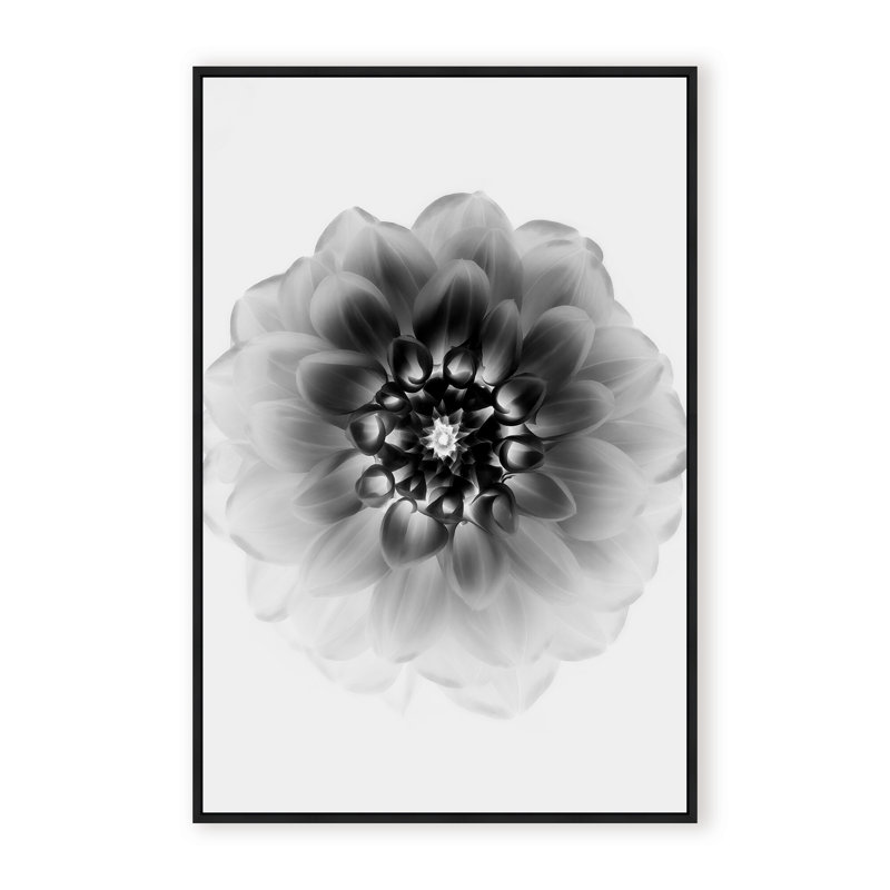 X-Ray Print by Alex Zhao, 48" H x 32" W x 1.125" D, Framed Print, Gold