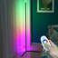 Tooborac 140cm Matte LED Novelty Floor Lamp