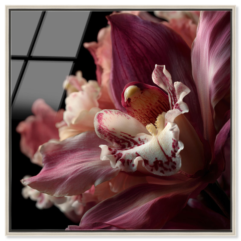 Velvet Labellum High-Gloss Frameless Acrylic Glass Wall Art Floral & Botanical Print by Oliver Gal, Ready to Hang, 12 x 12