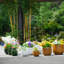 Pot de fleurs-479121820