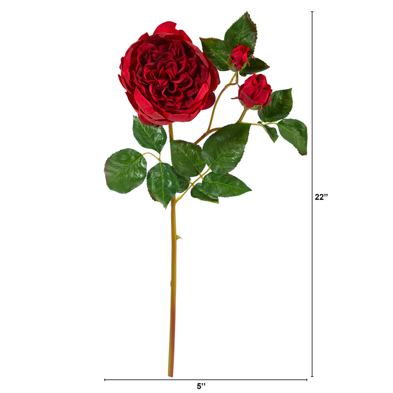 Tige de roses, Rouge Noël