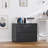 Ahanu 35.4'' Wide 2 -Drawer Steel File Cabinet-1940947481