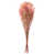 Pink is out of stock