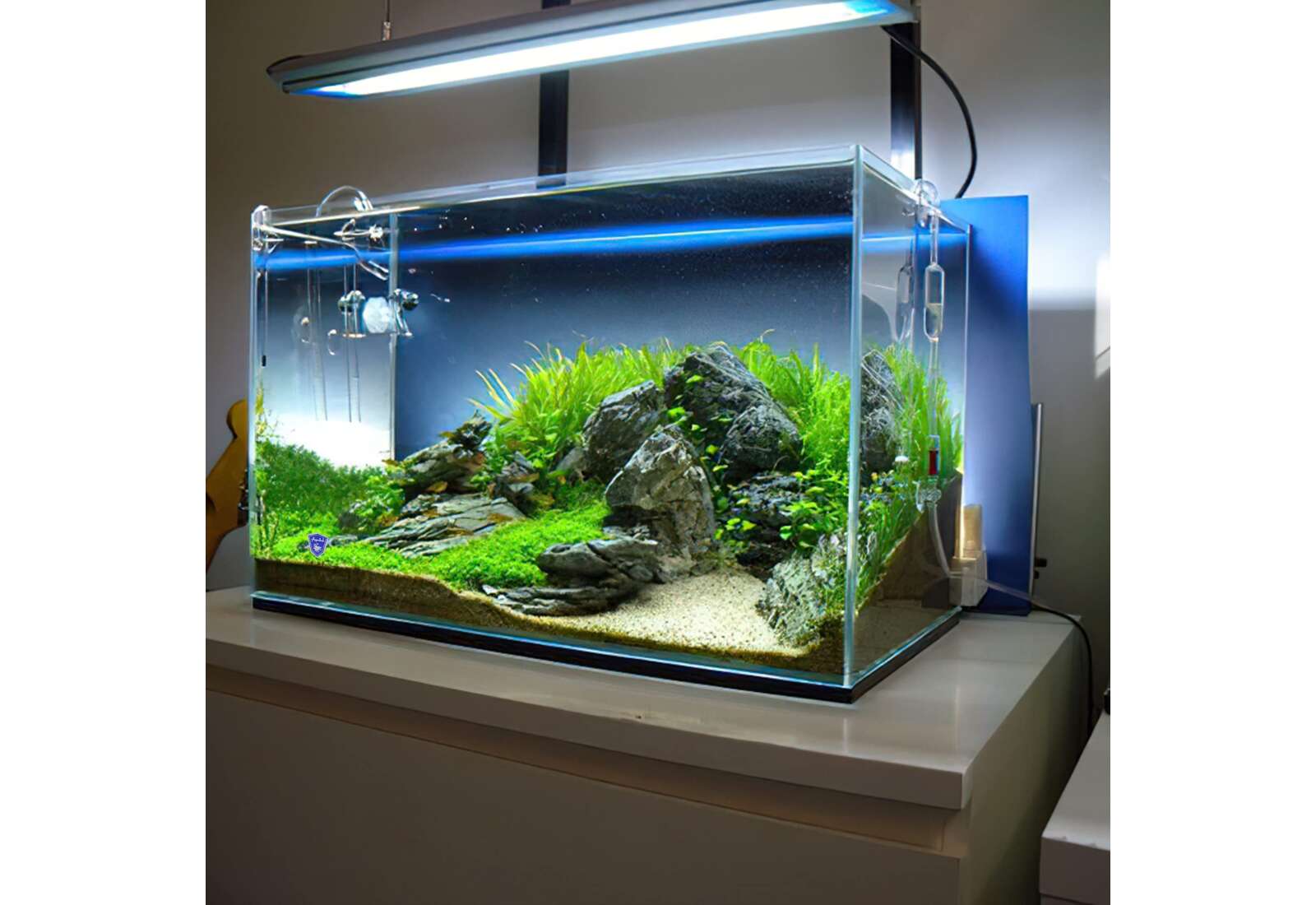 Fish Tank Sizes & Types: How To Choose The Right Aquarium | Wayfair
