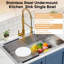 Rebrilliant W Kitchen Sink