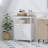 Modern Storage Cabinet With Double Doors