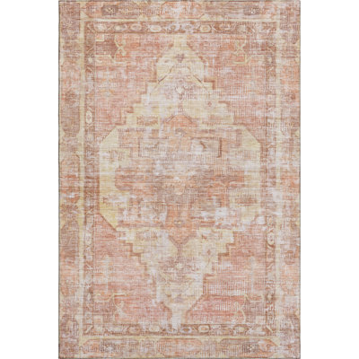 Premium Machine Washable Lucchesi AMF1729 Global Rug