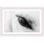 « trusting eye »-cadre photo, impression sur papier-21728442-21728445