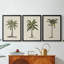 3 pièces, UK CH British Palms I - Toile tendue avec châssis encadré-2121390425-2121390431